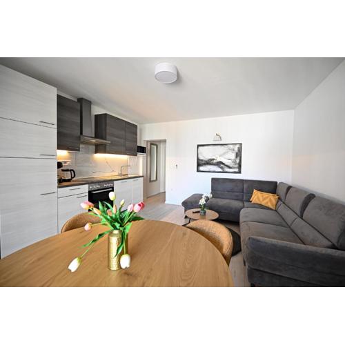 Apartmani Kozina