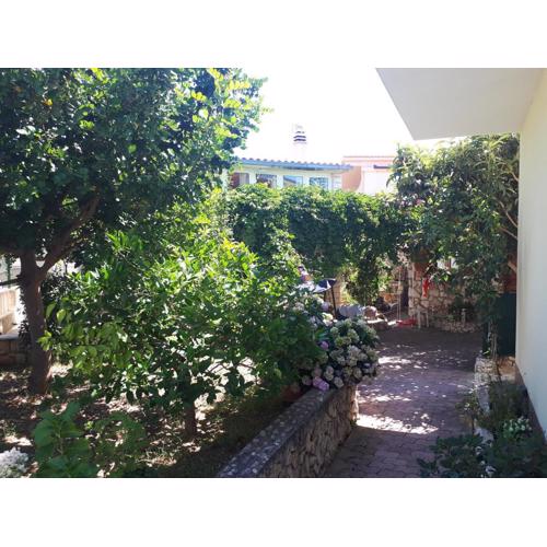 Apartmani Maja Kanica