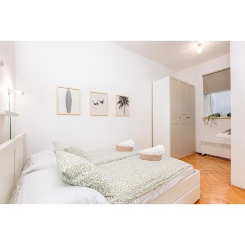 Apartment 24