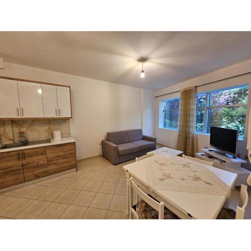 Apartment, 500m from sandy beach