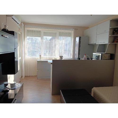 Apartment Andri