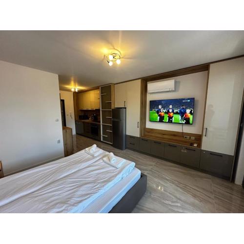 Apartment Aria 4