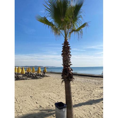 Apartment beach