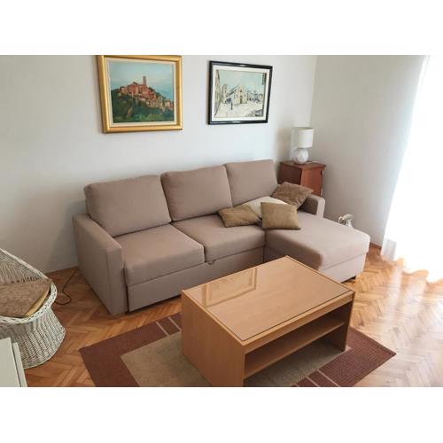 Apartment Branka