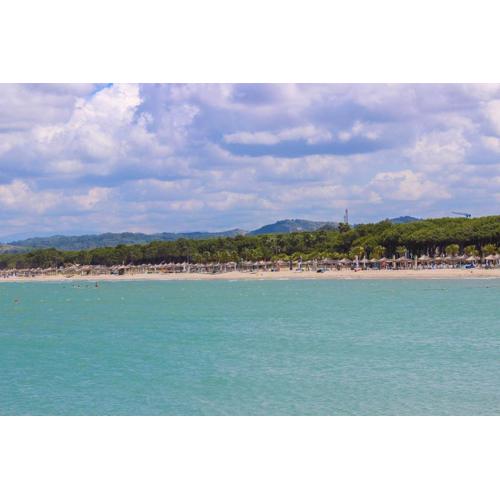 Apartment by the beach 1032