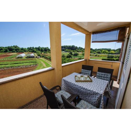 Apartment Concetta
