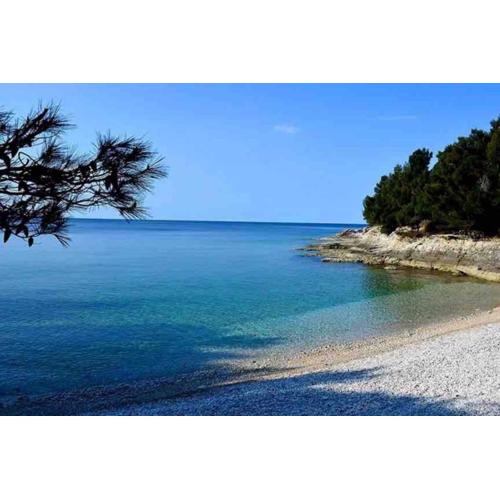Apartment Damir 50 meters from the beach