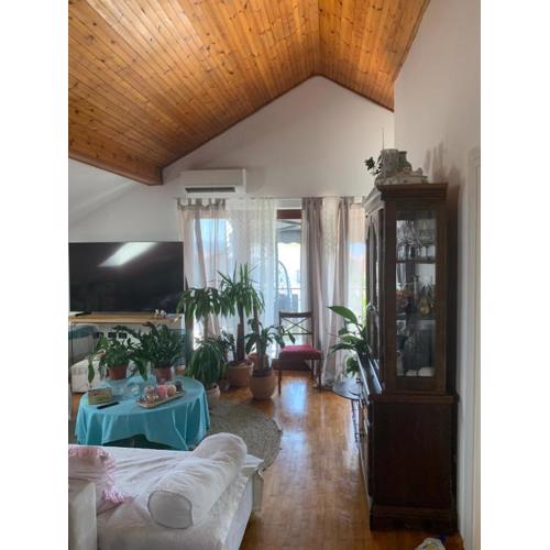 Apartment Danka