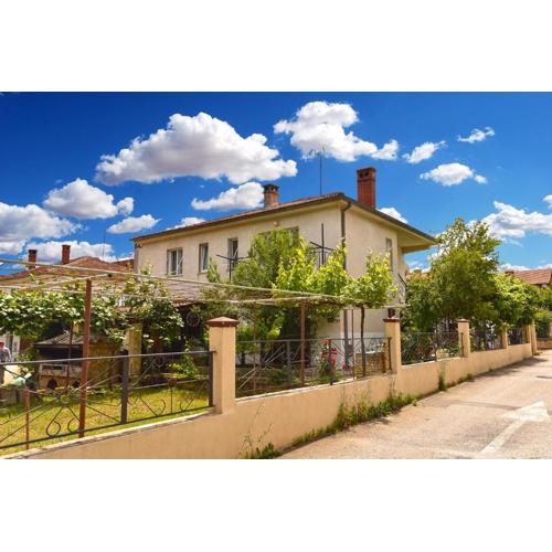 Apartment Davor 2330