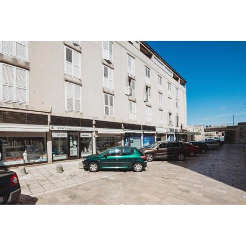 Apartment Double S city centre