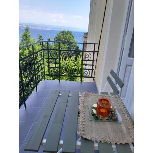 Apartment Drazica