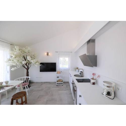 Apartment Fiorino