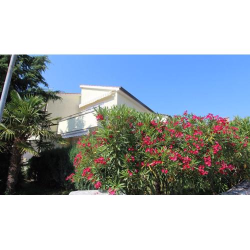 Apartment Grahovac 4