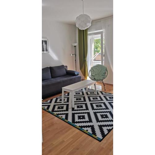 Apartment Homey