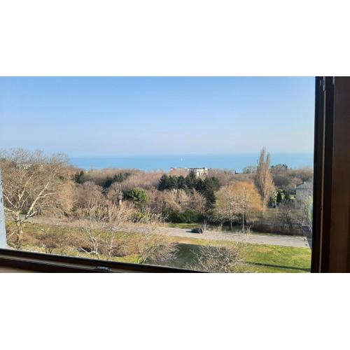 Apartment Icovi 2