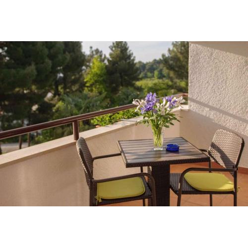 Apartment in Porec - Istrien 43258