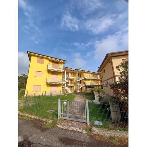 Apartment in Rosolina Mare 27837