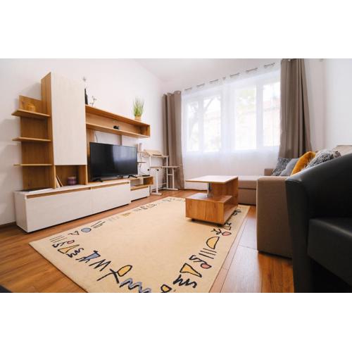 Apartment in the city center