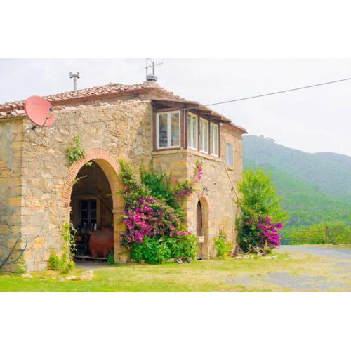 Apartment in Tuscan farmhouse