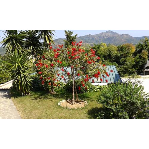 Apartment in villa 2 to 3 persons with large private garden