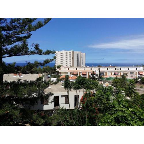 Apartment Jacaranda Mit Pool
