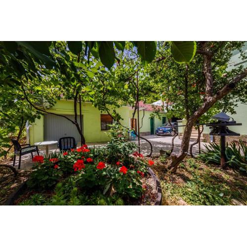 Apartment Jelen