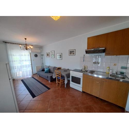 Apartment Leo