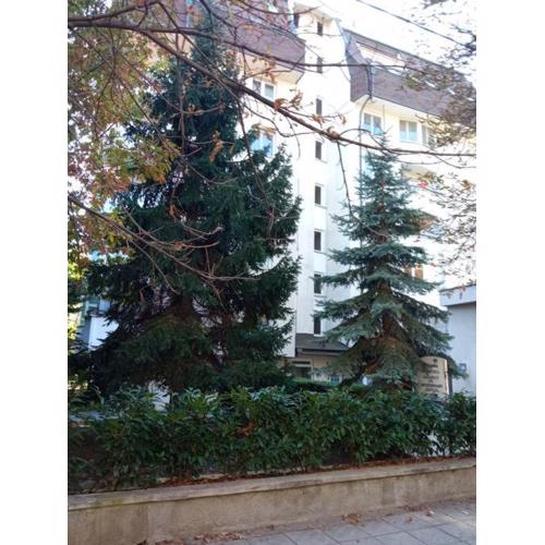 Apartment LOZENEC, sa parkingom u podzemnoj garazi