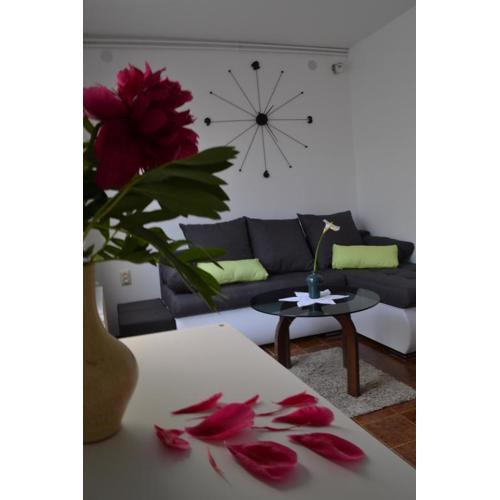 Apartment Luli