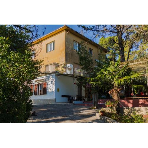 Apartment Maestral near the Beach
