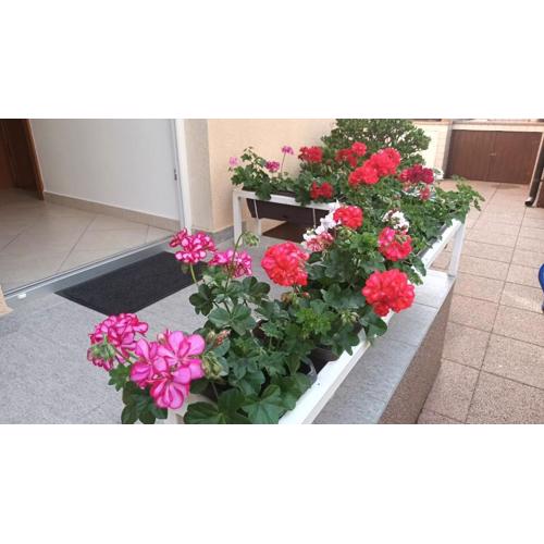 Apartment Marelja - private parking and balcony