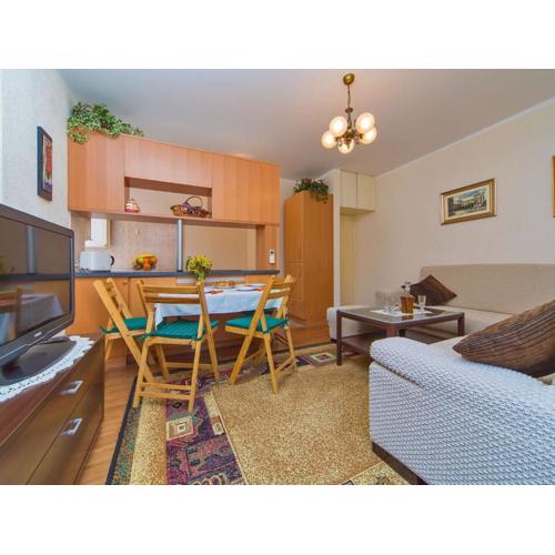 Apartment Maru - Two Bedroom Apartment with City View A4