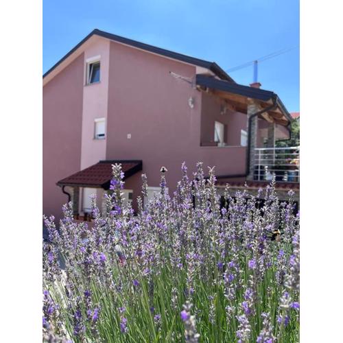 Apartment Mehanovic