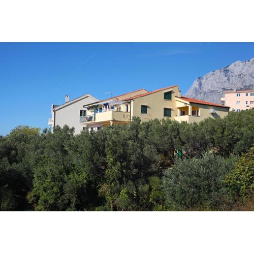 Apartment Mileta