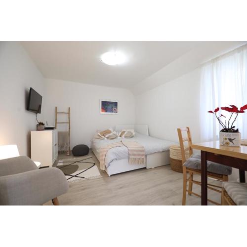 Apartment Mir