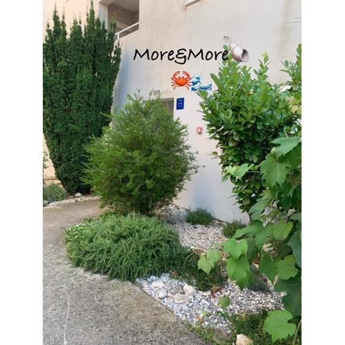 Apartment More&More