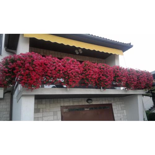 Apartment near the center - Nada