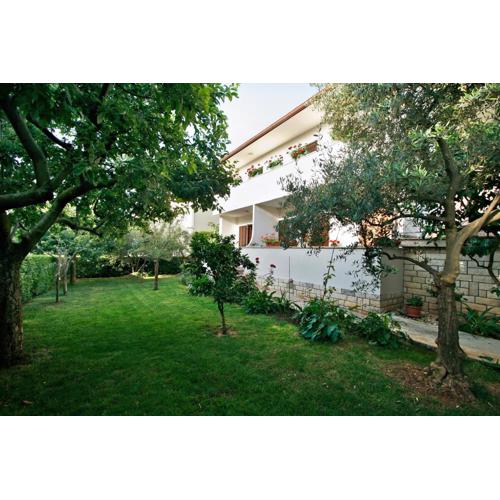 Apartment Nerina