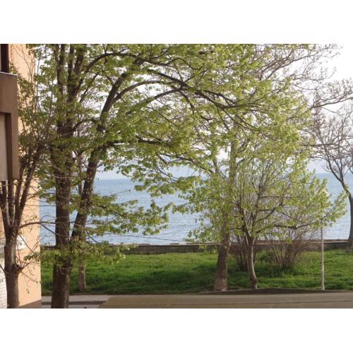 Apartment Pomorie