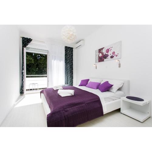 Apartment Purple Magic