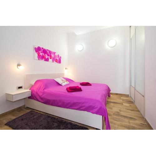 Apartment Radiant Orchid