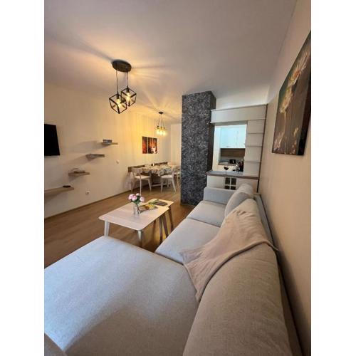 Апартамент Ренета Apartment Reneta