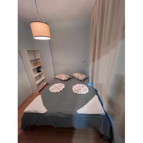 Apartment Saborni