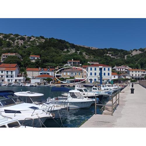 Apartment & studio Elizabet