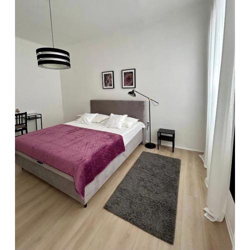 Apartment Tanjica