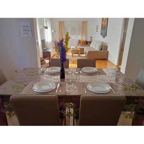 Apartment Tomas,,,Spacious house with private parking,terrace,5G Internet,,,,,