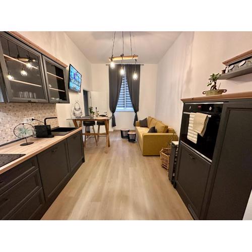 Apartment VidRi