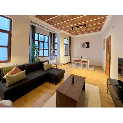 Apartment w/ New Furnitures Next to Istiklal Street and Taksim Square