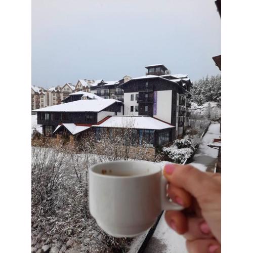 Apartment Wintermärchen Bansko