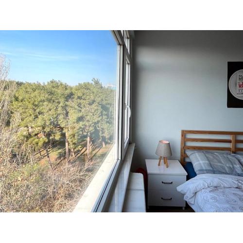 Apartment with Forest View